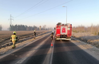 Łabędźzderzyłsięz linią energetyczną ZDJĘCIA