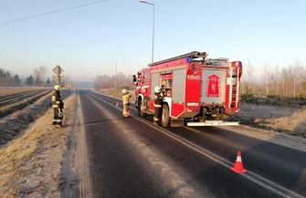 Łabędźzderzyłsięz linią energetyczną ZDJĘCIA