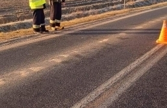 Łabędźzderzyłsięz linią energetyczną ZDJĘCIA