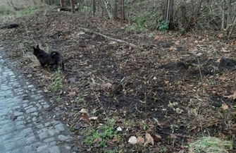 Jest we Wschowie ul. Zapomniana