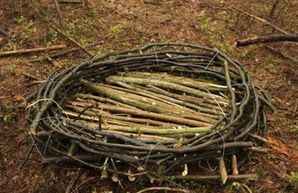 Na ratunek przyrodzie