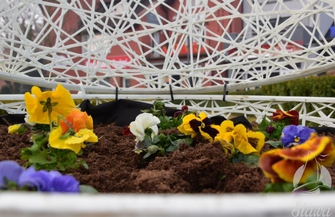 Świecące pisanki na rynku w Sławie