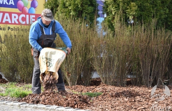 Wiosenne porządki w mieście