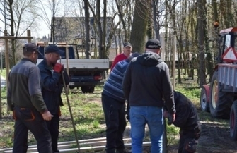 Więcej zieleni w Sławie