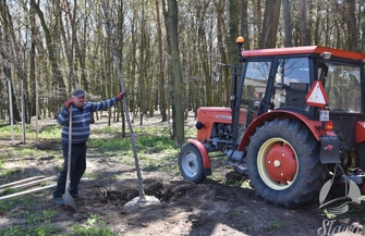 Więcej zieleni w Sławie