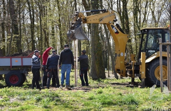 Więcej zieleni w Sławie