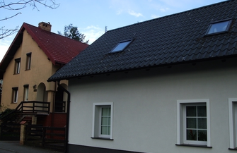 Uciążliwa kolonia gawronów