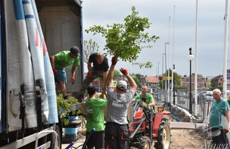 Więcej zieleni mniej betonu ZDJĘCIA