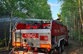 Pożar lasu opanowany ZDJĘCIA