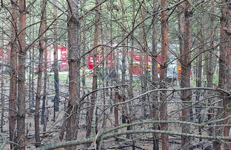 Pożar lasu opanowany ZDJĘCIA