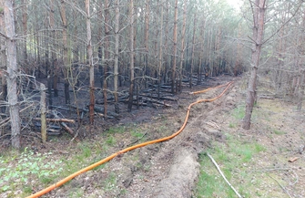Pożar lasu opanowany ZDJĘCIA