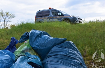 Lepsze kąski niżw lumpeksie.