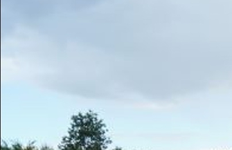 Przetarg ustny nieograniczony na sprzedaż nieruchomości niezabudowanej we Wschowie