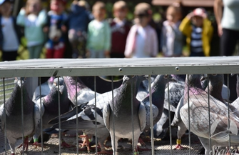 Dzień dziecka w przedszkolu ZDJĘCIA