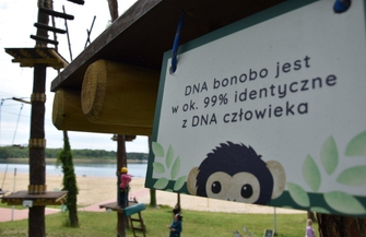 Atrakcja wśród drzew ZDJĘCIA