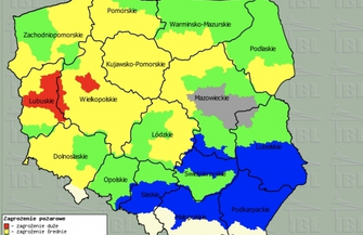 Nadleśnictwo Sława Śląska alarmuje Ktoś usilnie próbuje podpalić las