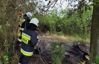 Ktośpodpalił śmieci w Krzepielowie ZDJĘCIA