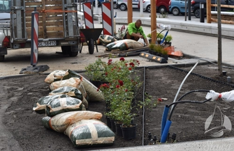 Jeszcze więcej zieleni