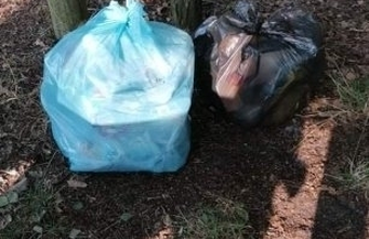 Śmieciłeś w Lginiu