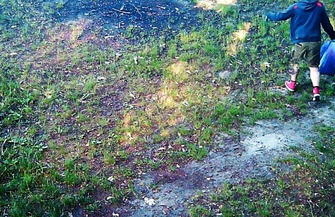 Śmieciłeś w Lginiu