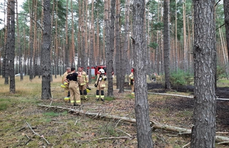 W okolicach Krążkowa zapaliłsięlas ZDJĘCIA