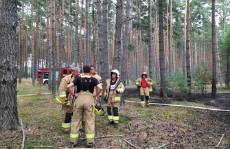 W okolicach Krążkowa zapaliłsięlas ZDJĘCIA