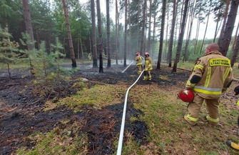 W okolicach Krążkowa zapaliłsięlas ZDJĘCIA
