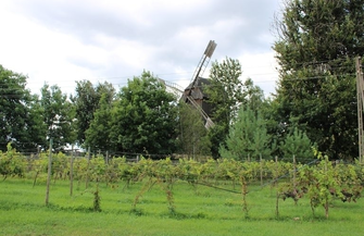 Aktywni seniorzy na obszarze Krainy Lasów i Jezior Siedlisko ZDJĘCIA