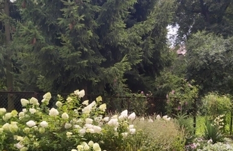 Sentymentalny ogród z krainy młodości