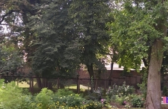 Sentymentalny ogród z krainy młodości