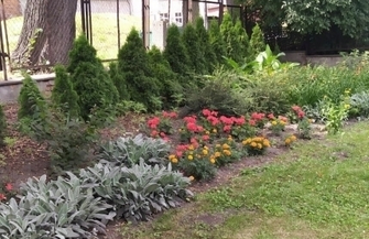 Zajęcia gimnastyczne dla osób 60 w ogrodzie