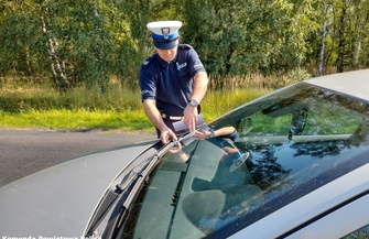 W trosce o bezpieczną wędrówkę po lesie.