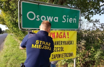 Rozwieszono banery informujące o zgnilcu amerykańskim