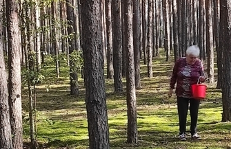 Szlichtyngowa Grzybobranie w Klubie Senior ZDJĘCIA