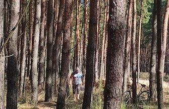 Szlichtyngowa Grzybobranie w Klubie Senior ZDJĘCIA