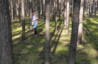 Szlichtyngowa Grzybobranie w Klubie Senior ZDJĘCIA