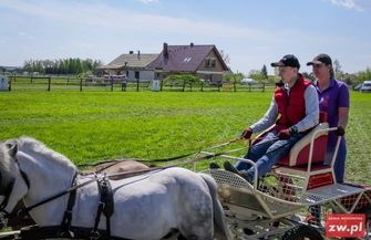 Mistrzostwa Polski Amatorów w Powożeniu Zaprzęgami Konnymi 2021 ZAPOWIEDŹ
