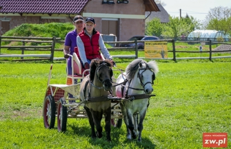 Mistrzostwa Polski Amatorów w Powożeniu Zaprzęgami Konnymi 2021 ZAPOWIEDŹ