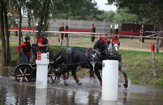Zawody zaprzęgowe na Ranczu Rubin w Nowej Wsi 2021 RELACJA