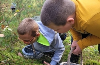 Terapeutyczna moc drzew ZDJĘCIA