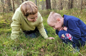Terapeutyczna moc drzew ZDJĘCIA