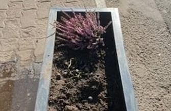 Nie uwierzysz. Ktośwykopuje kwiaty z miejskich gazonów