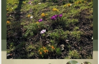 W tym kalendarzu znajdziesz fotografie z terenu Gminy Wschowa