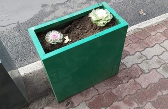 Seryjny wandal we Wschowie