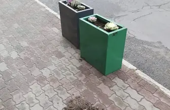 Seryjny wandal we Wschowie