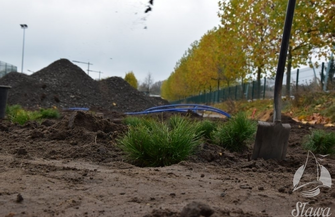 Ten projekt to także zieleń