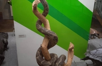 Szlichtyngowa Nasi uczniowie Poznają Polskę ZDJĘCIA