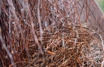 Tężnia solankowa w Sławie