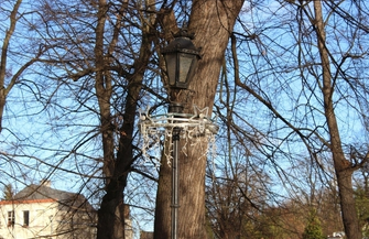 Szlichtyngowa Montaż dekoracji świątecznych