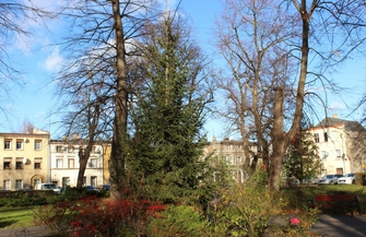 Szlichtyngowa Montaż dekoracji świątecznych